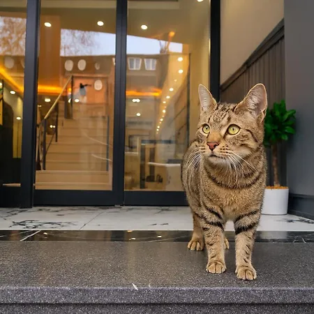 Calenberg 3* Provincia di Istanbul